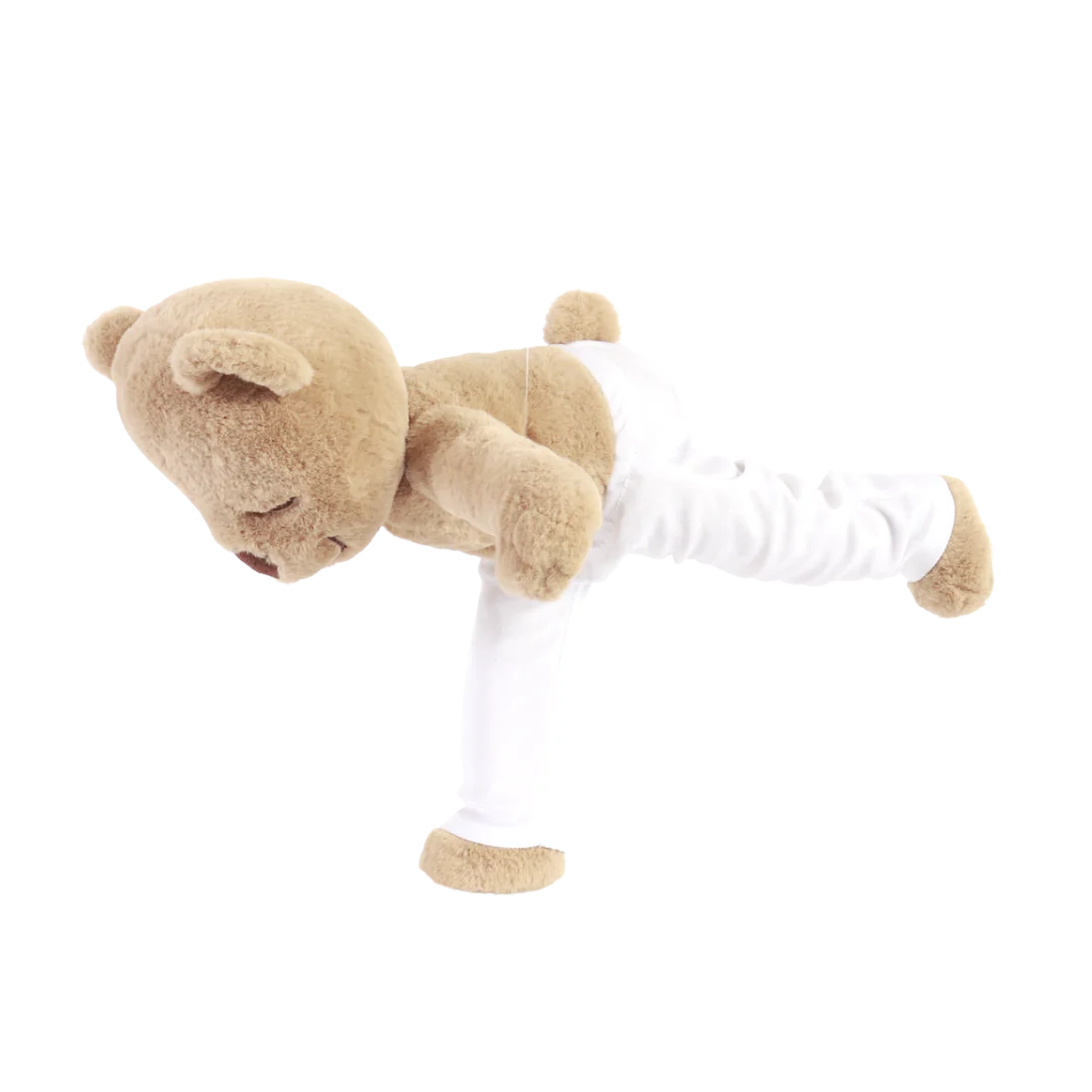Meddy Teddy