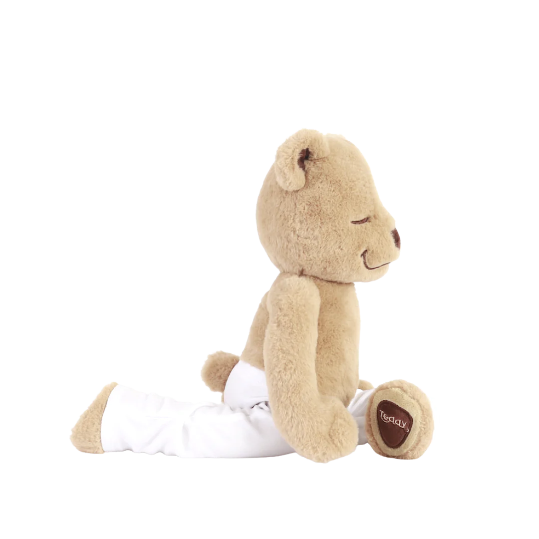 Meddy Teddy