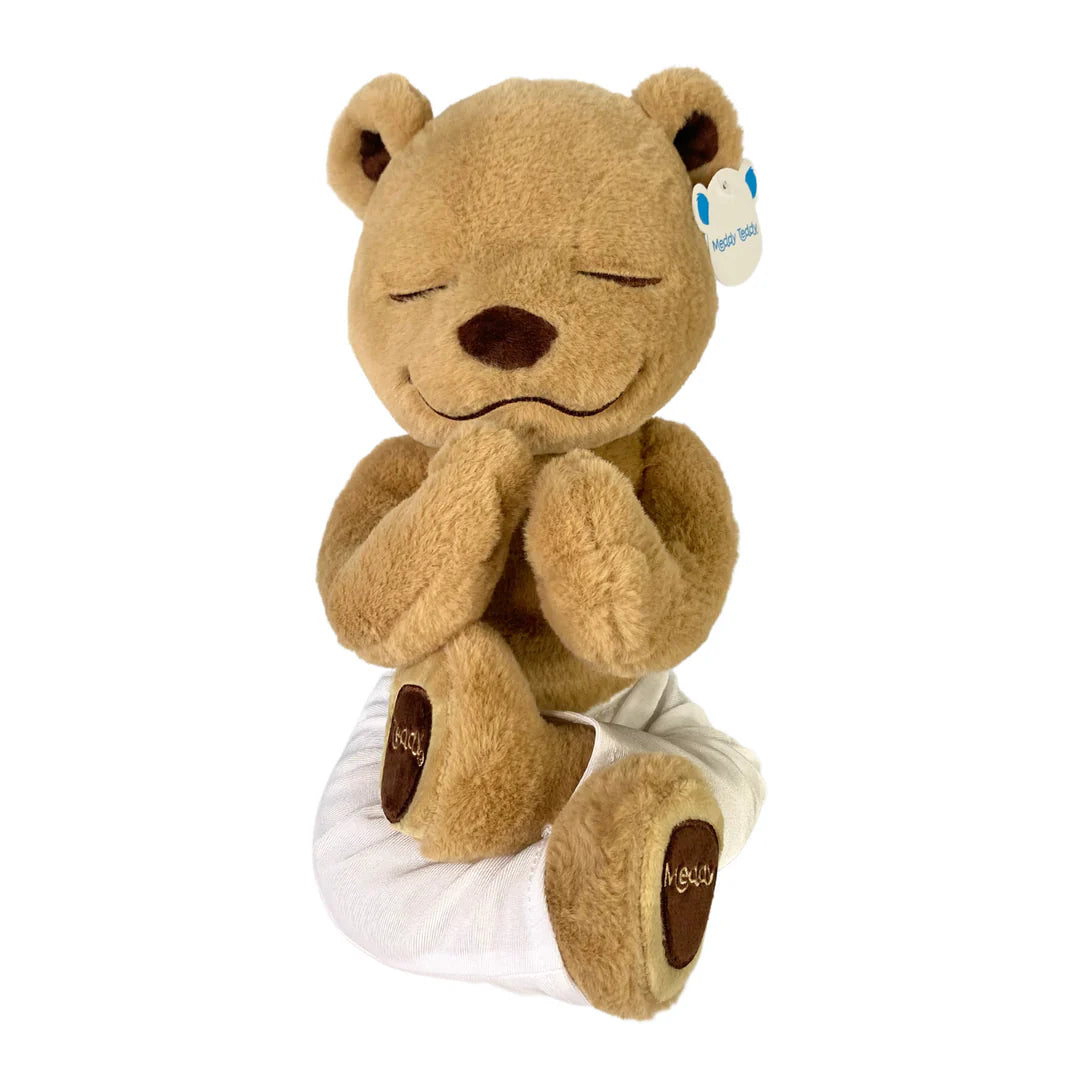 Meddy Teddy