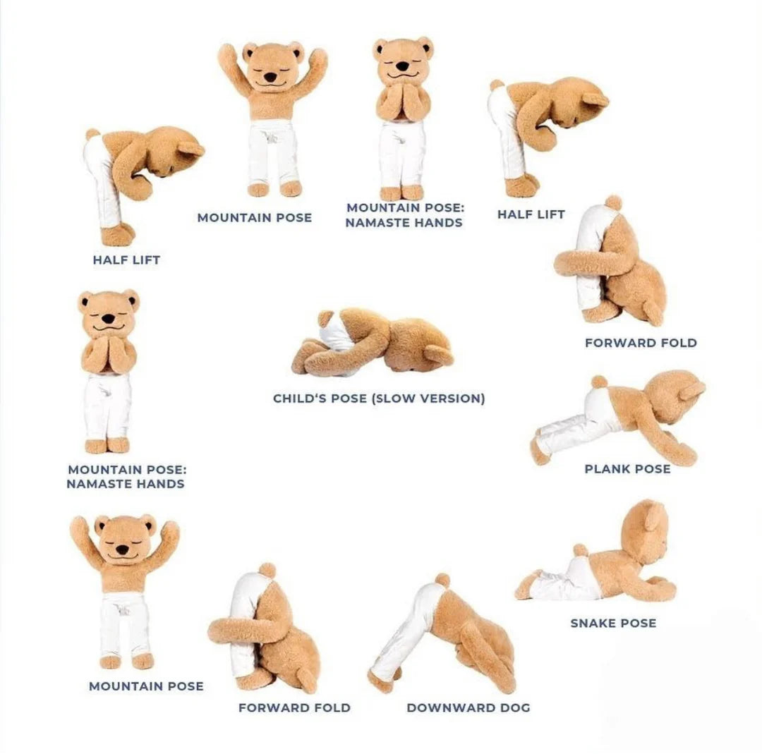 Meddy Teddy