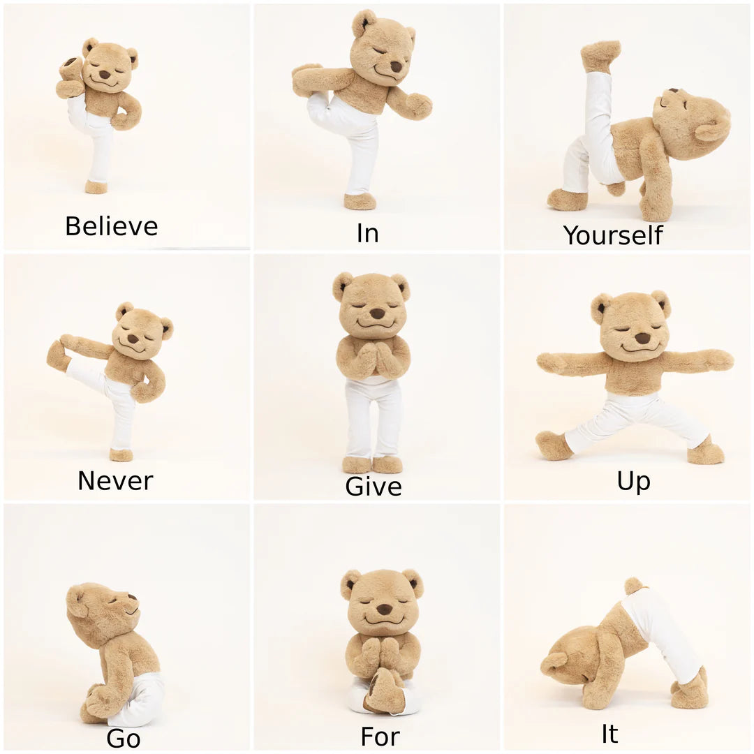 Meddy Teddy