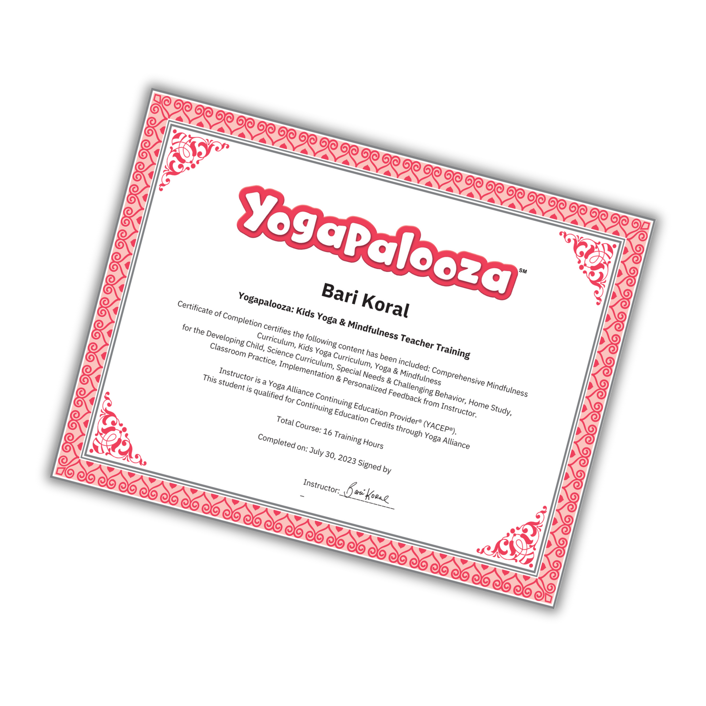 Yogapalooza Starter Kit (with Training)